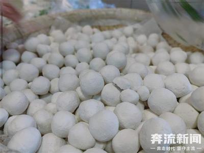 "团圆"好卖 "新宠"辈出!兰州市内各式汤圆热销