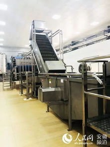 弃百万年薪下乡种梨 科大在读女博士的砀山 梨园情