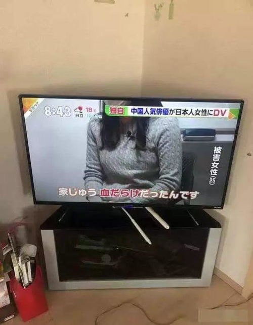 日本东京警视厅对蒋劲夫发逮捕令 面临3 4年牢狱 女友阴谋初显