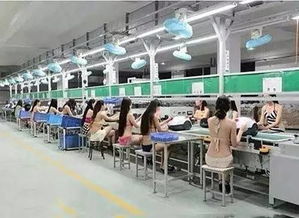 姑娘，你们心里的委屈我能够理解——兰州女性的“内涵式”日常