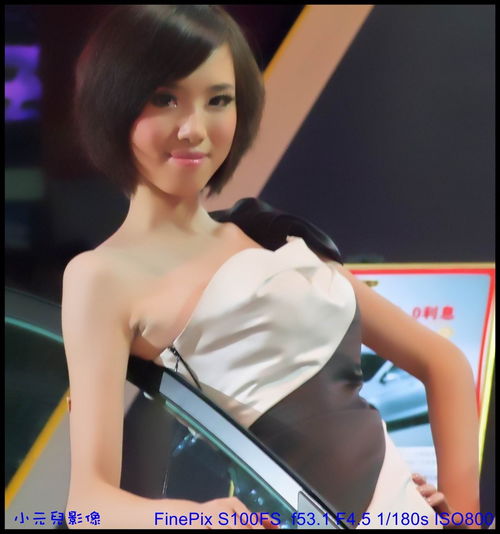 香车美女映金城 2011第二届中国西部兰州国际汽车博览会掠影